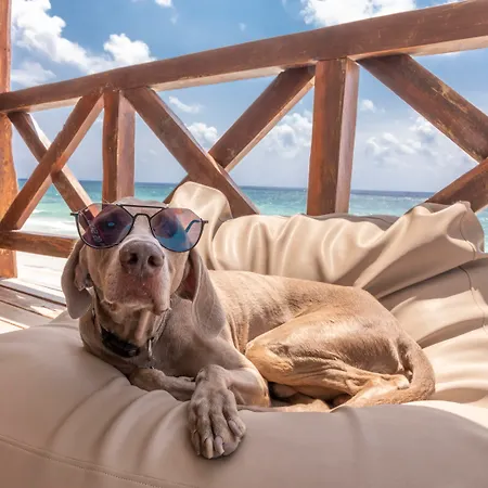 Hotelito Azul