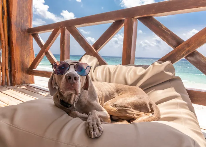 Hotelito Azul 5*